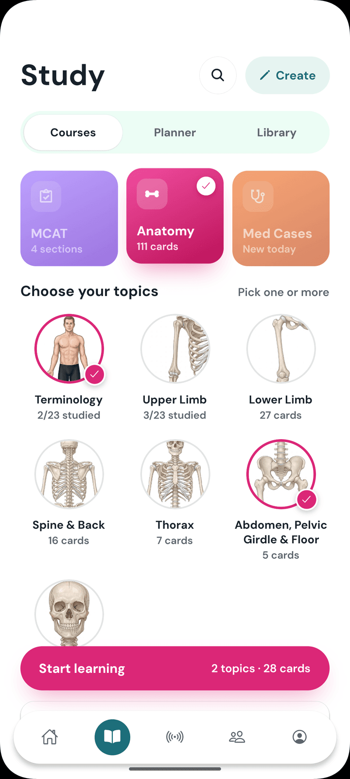 The Studium mobile app's Study screen: MCAT, Anatomy and Med Cases courses, with anatomy topics to choose from